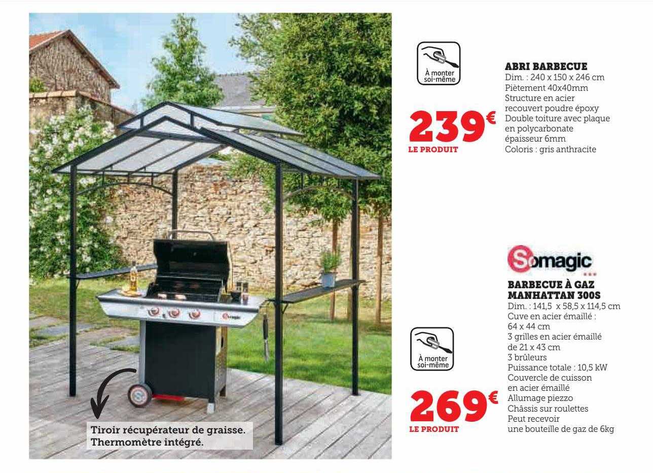 abri barbecue ou somagic barbecue à gaz manhattan 300s