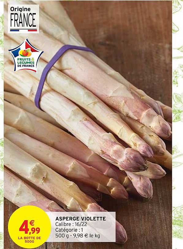 asperge violette