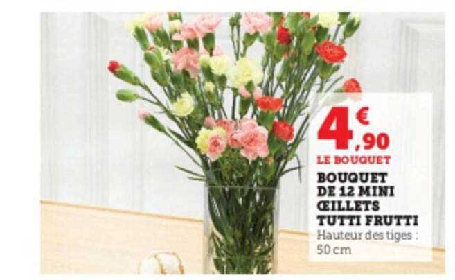 bouquet de 12 mini œillets tutti fruitti