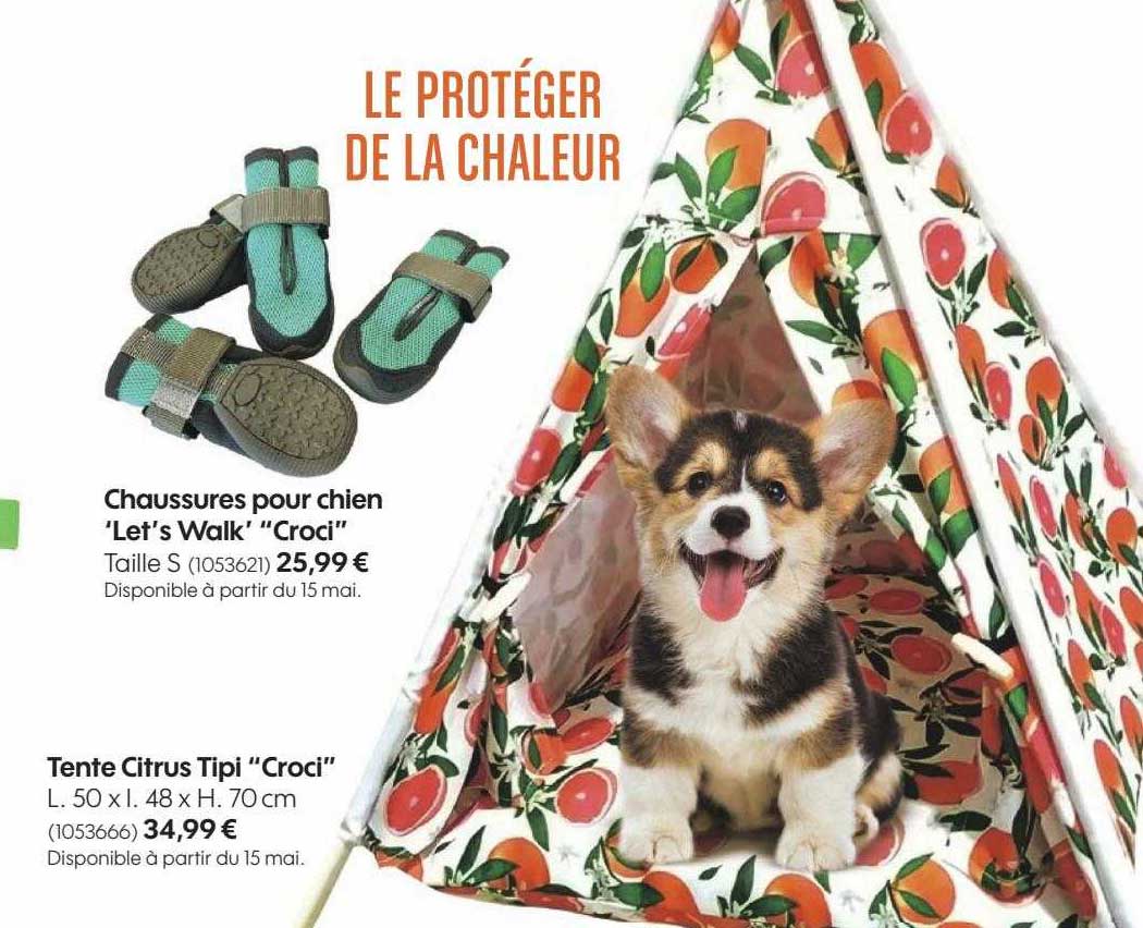 chaussures pour chien 'let's walk' "croci", tente citrus tipi "croci"