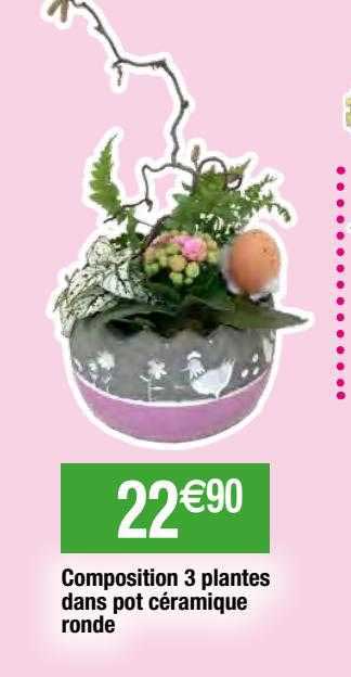 composition 3 plantes dans pot céramique ronde
