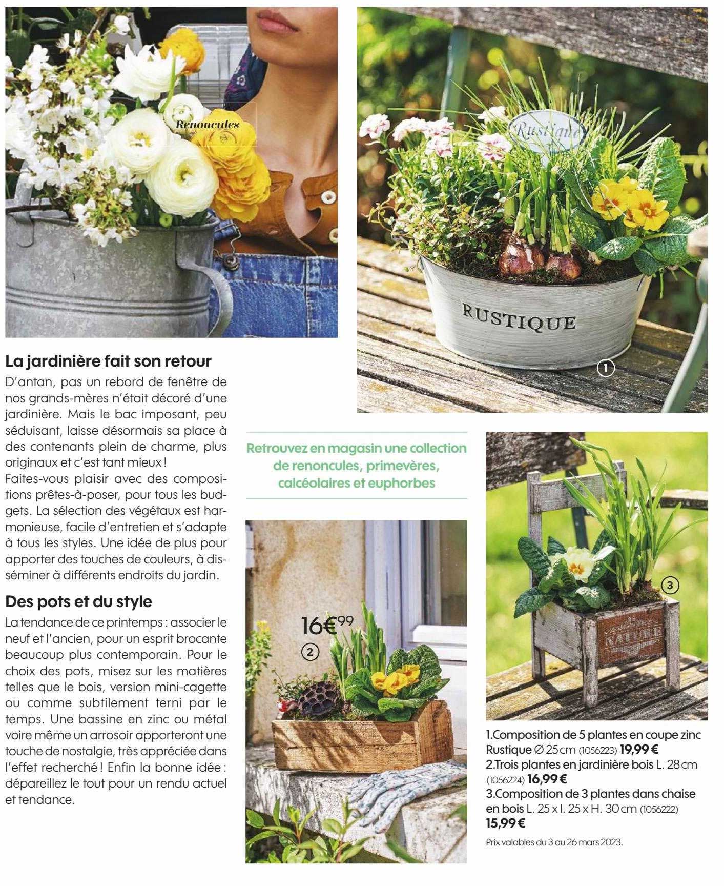 composition de 5 plantes en coupe zinc rustique, trois plantes en jardinière bois, composition de 3 plantes dans chaise en bois