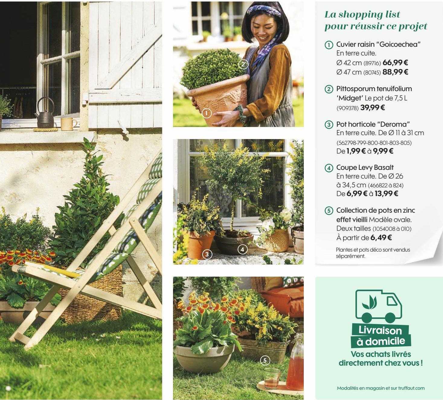 cuvier raisin "goicoeche", pittosporum tenulfollum "midget", pot horticole "deroma", coupe levy basalt, collection de pots en zinc effet vieilli