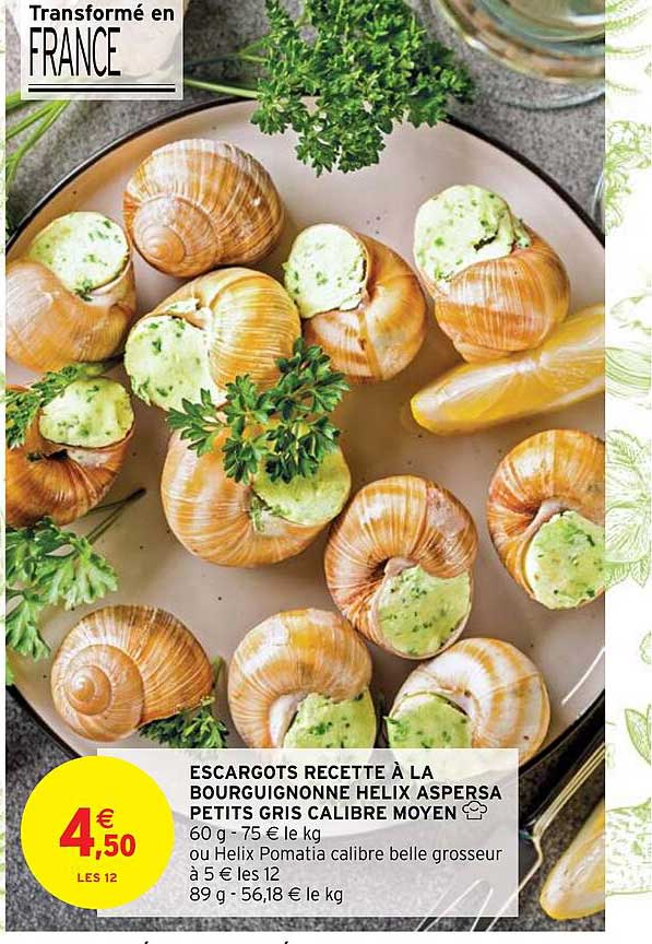 Escargote Recette à La Bourguignonne Helix Aspersa Petits Gris Calibre Moyen