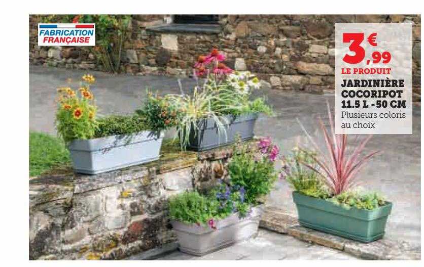 jardinière cocoripot