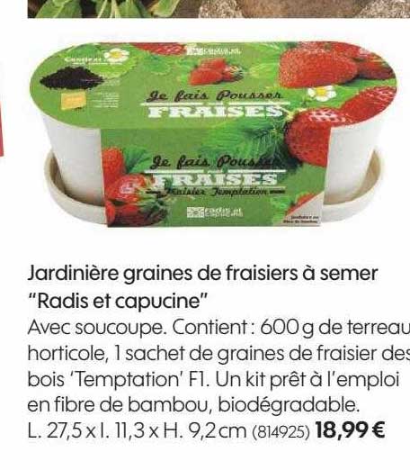 Jardinière Graines De Fraisiers à Semer "radis Et Capucine"