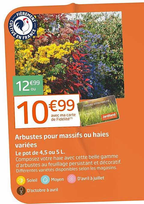 arbustes pour massifs ou haies variées