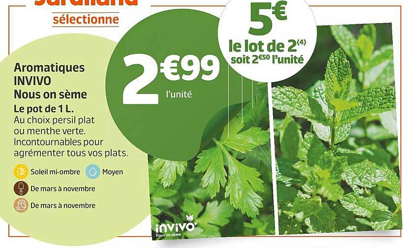 aromatiques invivo nous ou sème