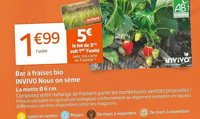 bar à fraises bio invivo nous on sème