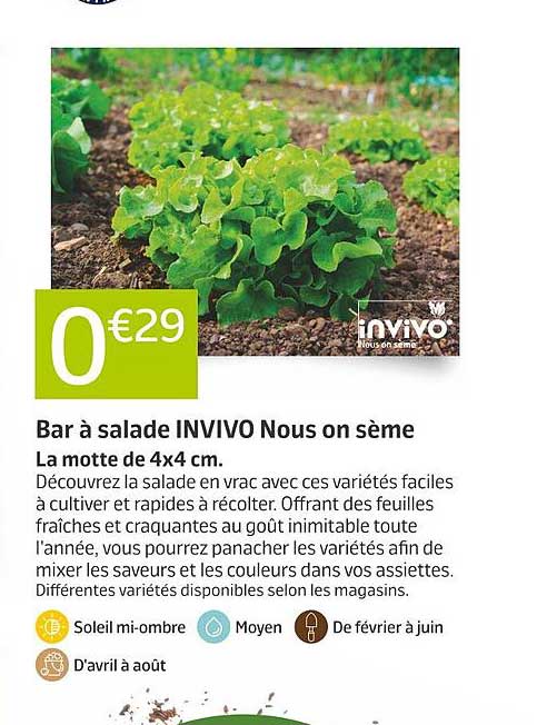 bar à salade invivo nous on sème