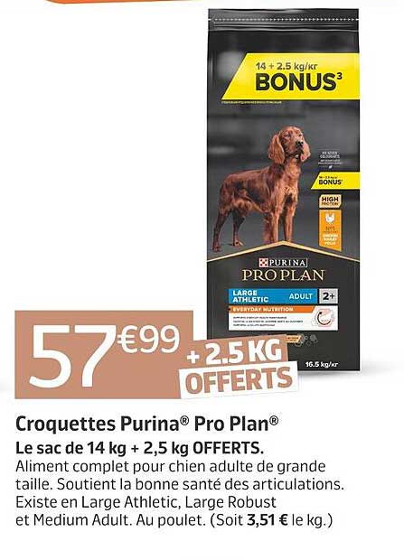 Croquettes Purina Pro Plan