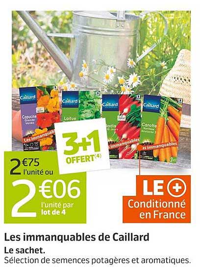 les immanquables de caillard