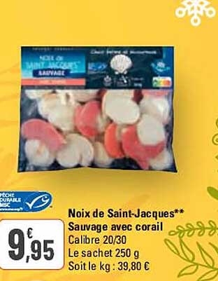 noix de saint-jacques sauvage avec corail