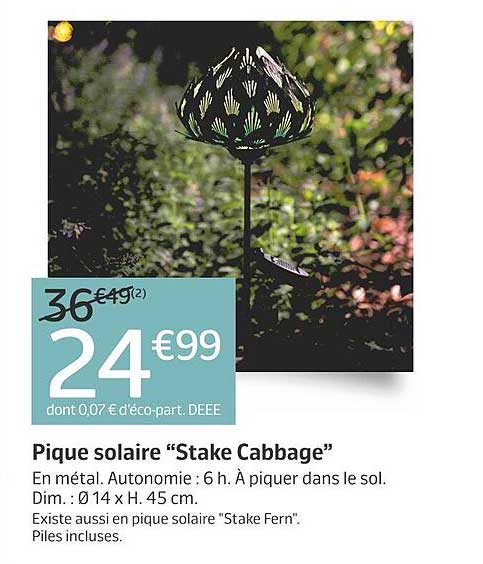 pique solaire "stake cabbage"