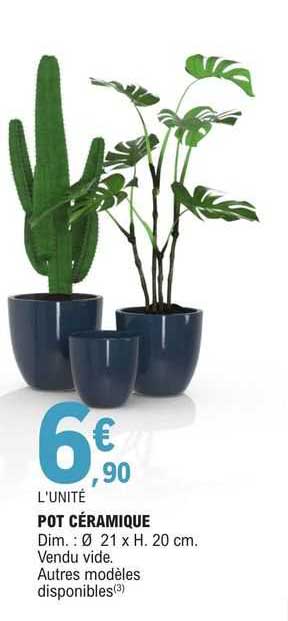 Pot Céramique