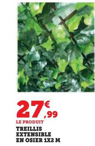 Treilles Extensible En Osier 1x2 M