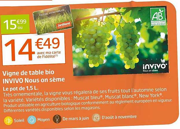 vigne de table bio invivo nous on sème