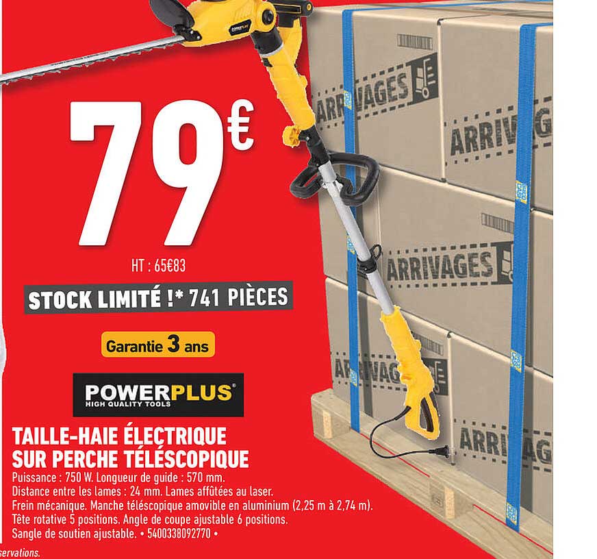 taille-haie électrique sur perche téléscopique