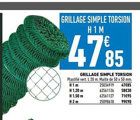Grillage Simple Torsion