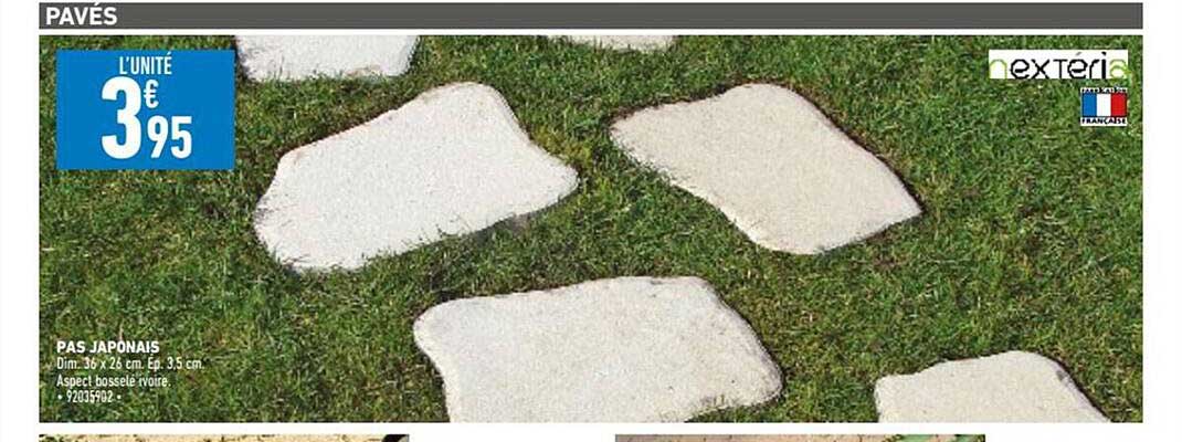 pas japonais nextéria