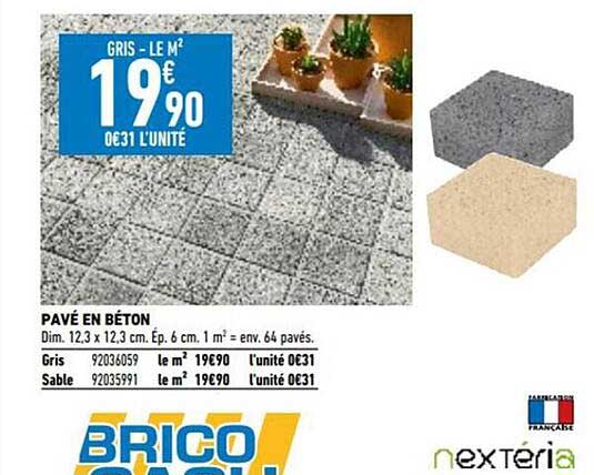 pavé en béton nextéria