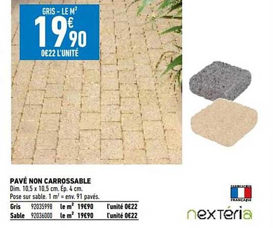 pavé non carrossable nextéria