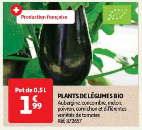 plants de légumes bio