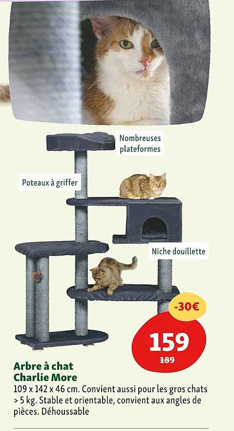 arbre à chat charlie more