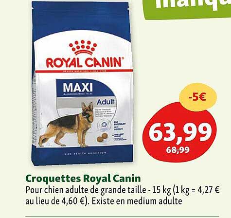 croquettes royal canin