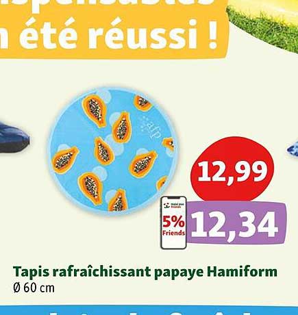 Tapis Rafraîchissant Papaye Hamiform