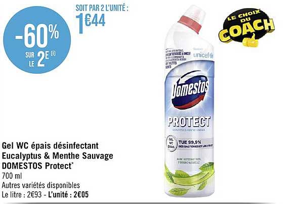 Gel Wc épais Désinfectant Eucalyptus & Menthe Sauvage Domestos Protect