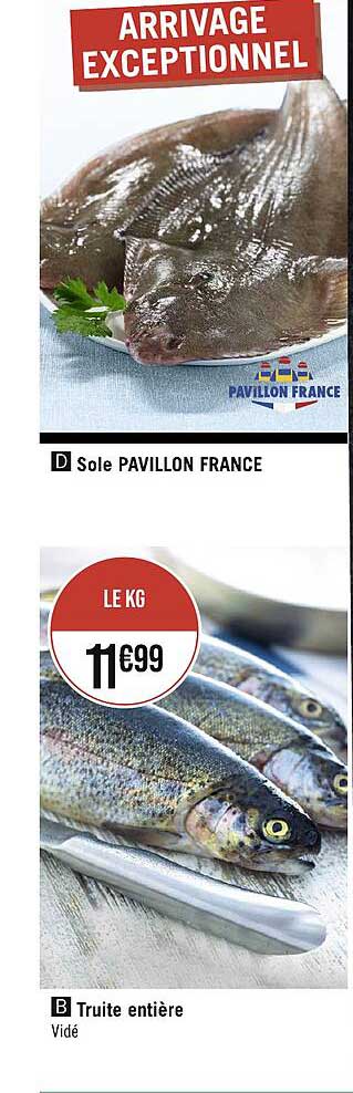 sole pavillon france, truite entière
