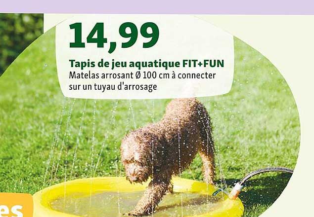 tapis de jeu aquatique fit + fun