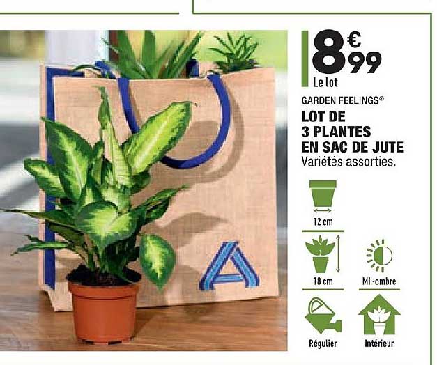 lot de 3 plantes en sac de jute garden feelings