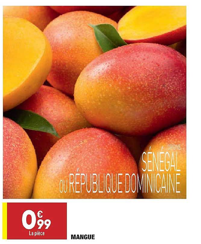 Mangue
