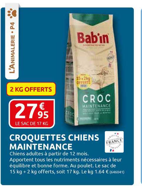 Croquettes Chiens Maintenance Bab'in