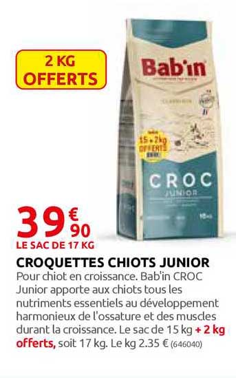 croquettes chiots junior