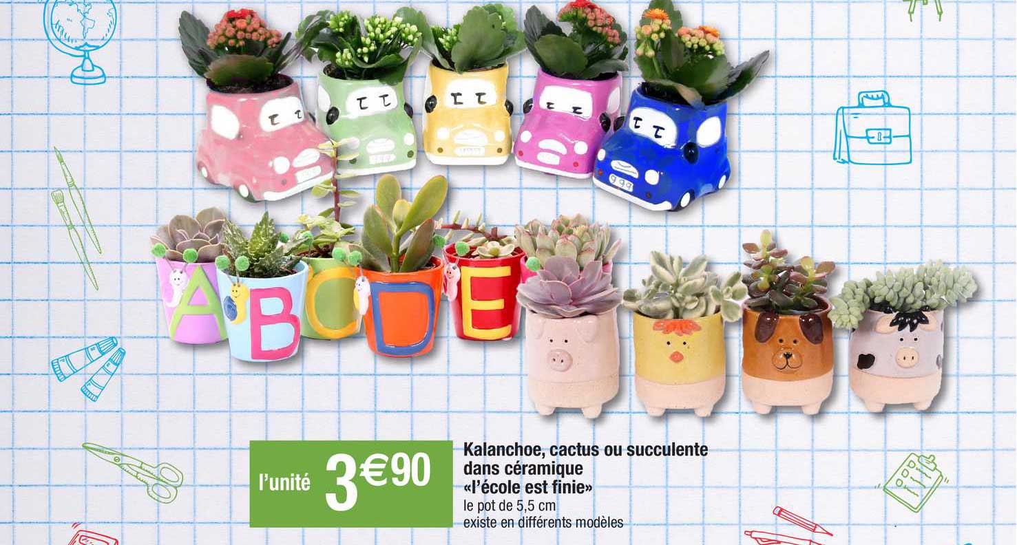 kalanchoe, cactus ou succulente dans céramique "l'école est finie"