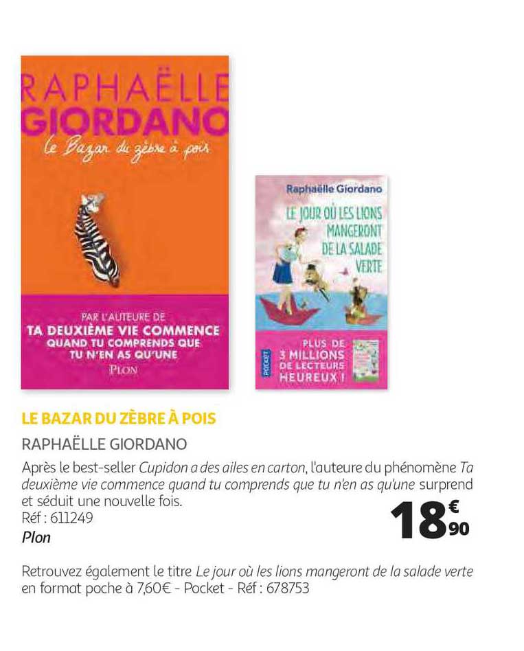 le bazar du zèbre à pois - raphaëlle giordano