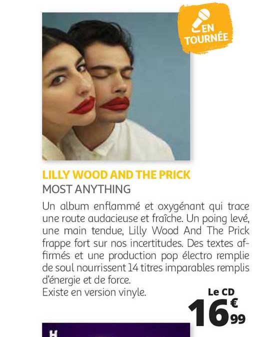 lilly wood and the prick - most anything