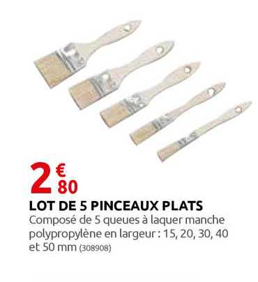 Lot De 5 Pinceaux Plats
