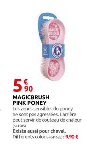 magicbrush pink poney