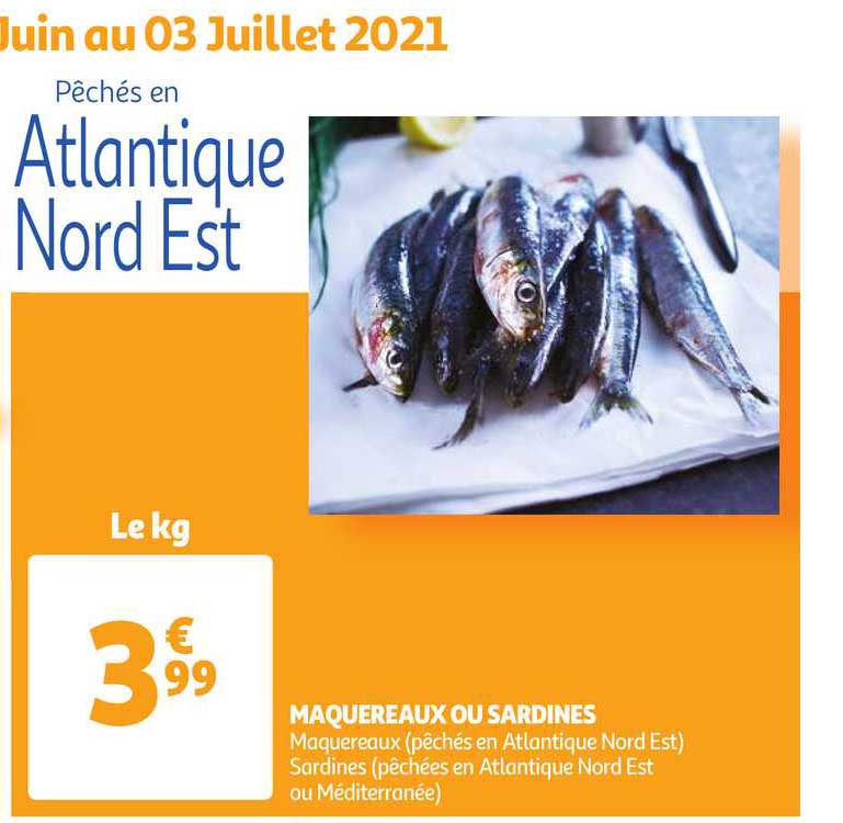 Maquereaux Ou Sardines