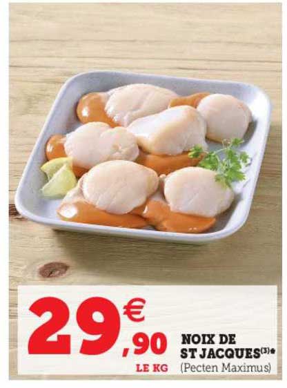 noix de st jacques