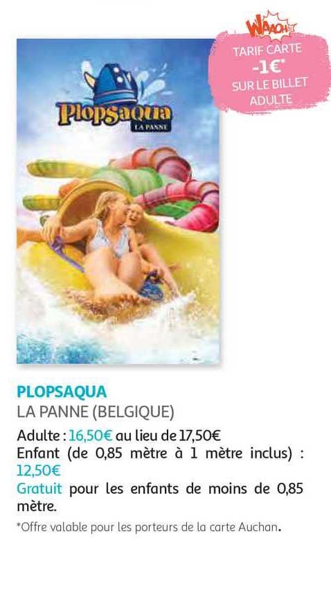plopsaqua la panne (belgique)