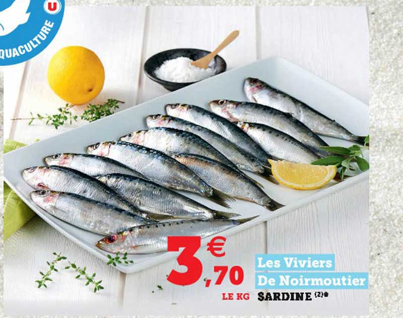 sardine les viviers de noirmoutier