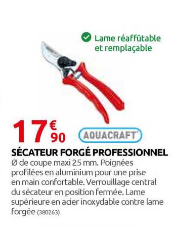sécateur forgé professionnel aquacraft