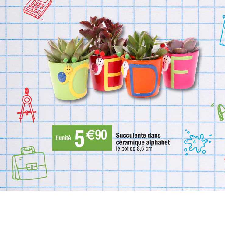 succulente dans céramique alphabet