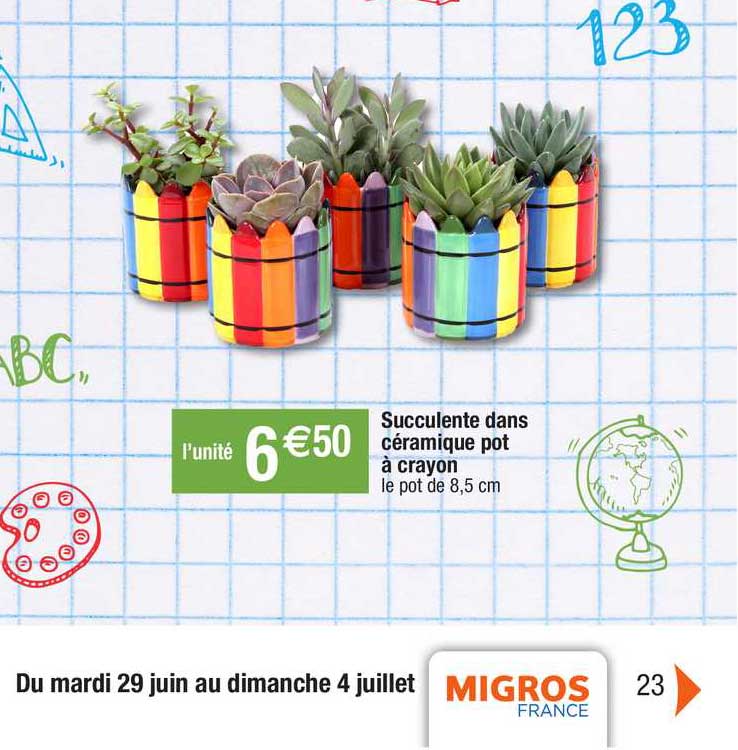 succulente dans céramique pot à crayon