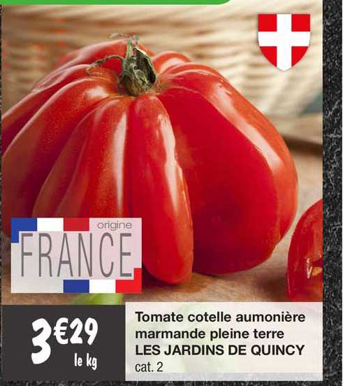 tomate cotelle aumônière marmande pleine terre les jardins de quincy